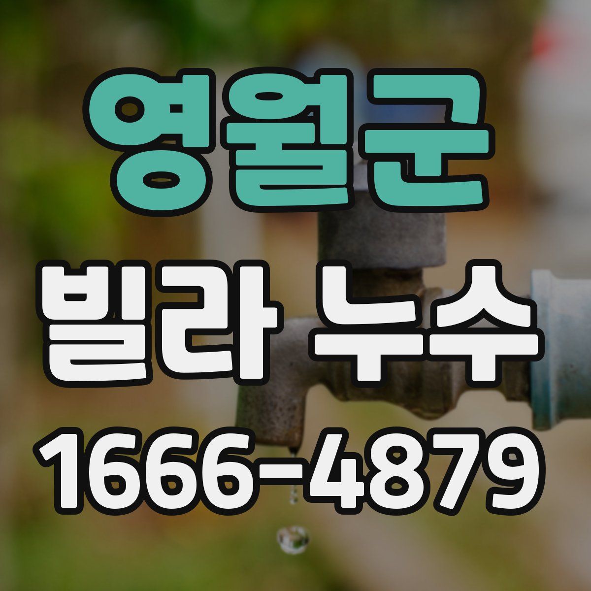 영월군 빌라 누수