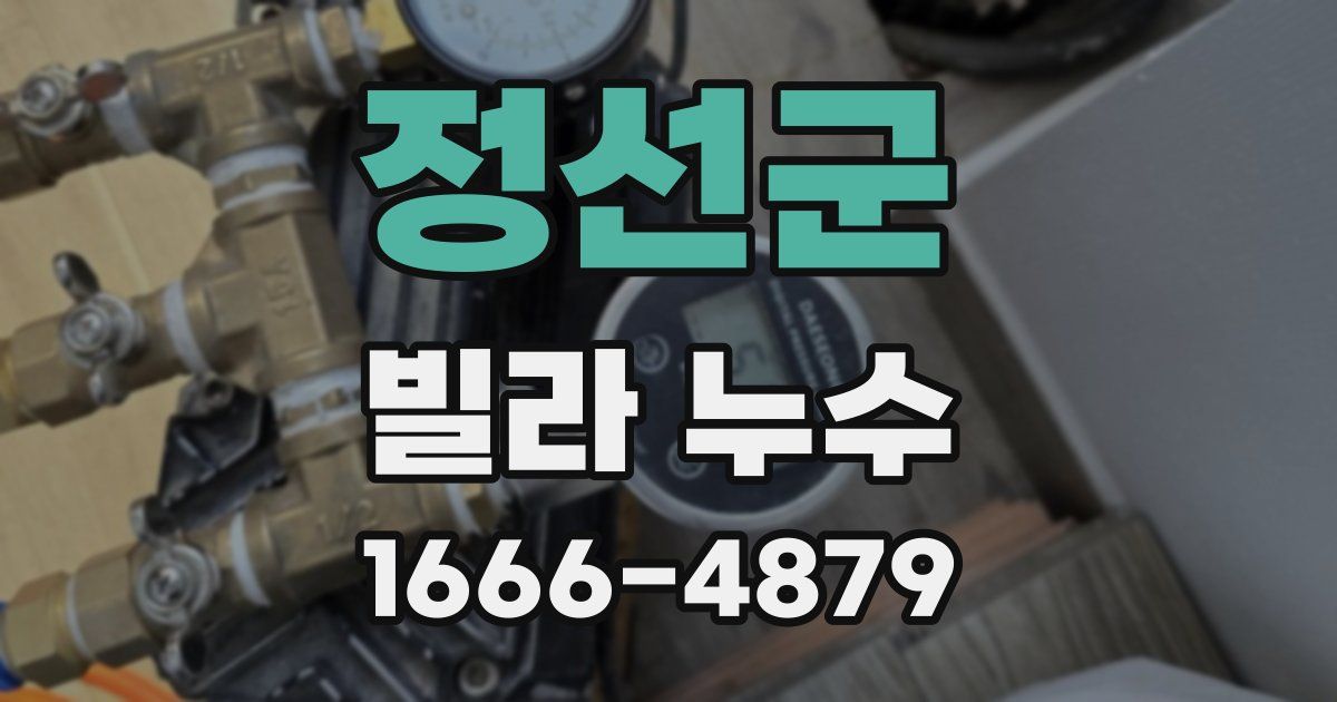 정선군 빌라 누수