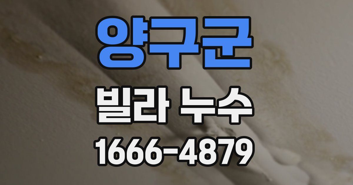 양구군 빌라 누수