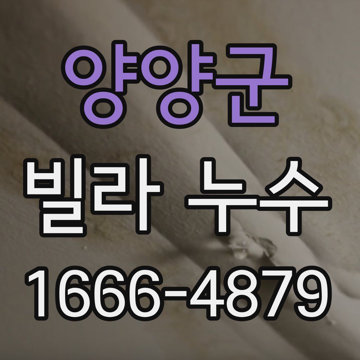 양양군 빌라 누수
