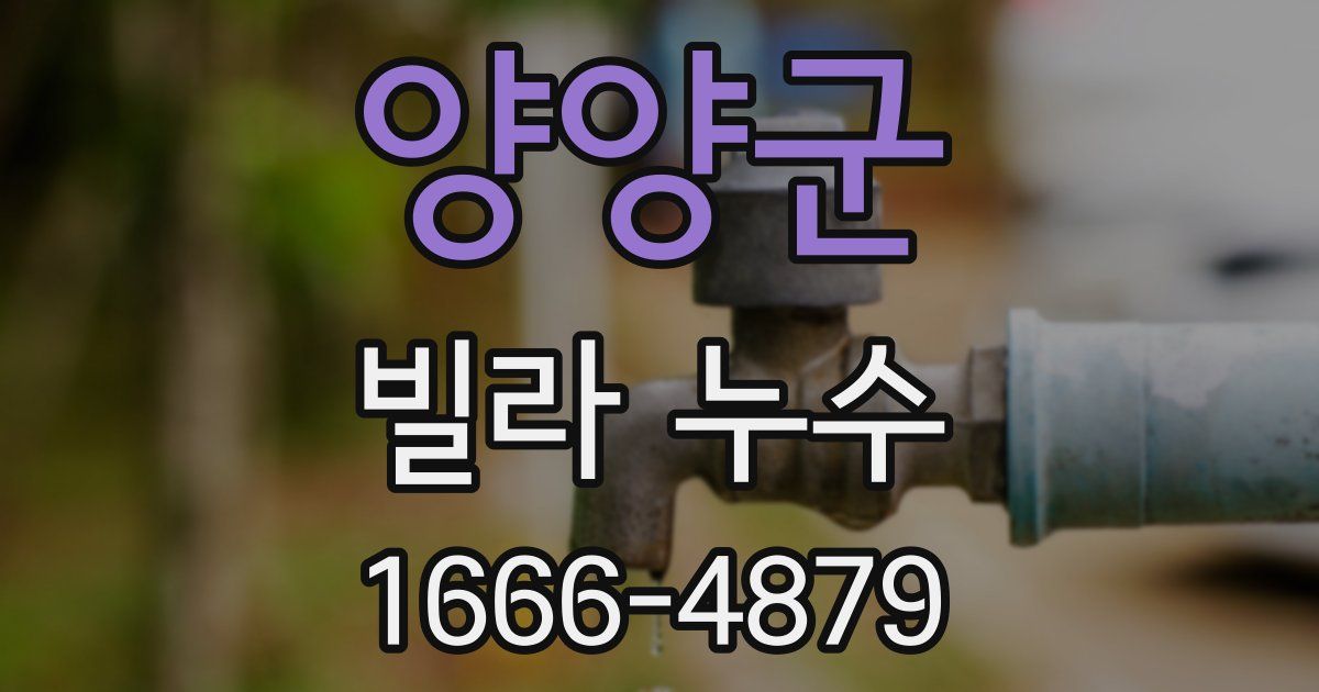 양양군 빌라 누수