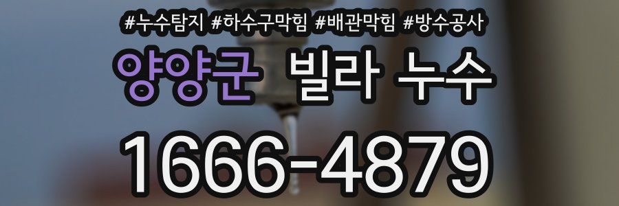 양양군 빌라 누수