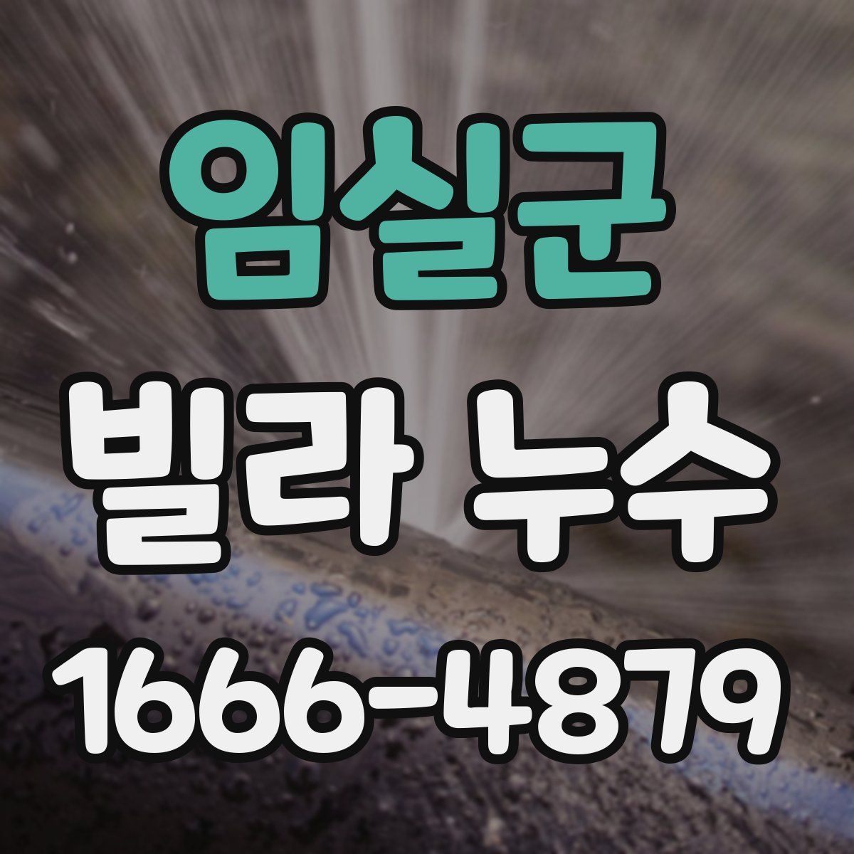임실군 빌라 누수