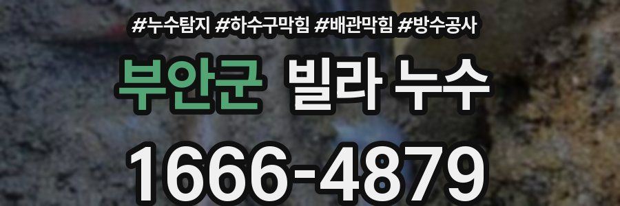 부안군 빌라 누수