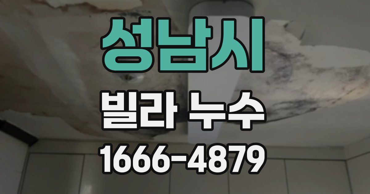 성남시 빌라 누수