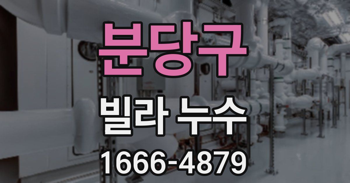 분당구 빌라 누수