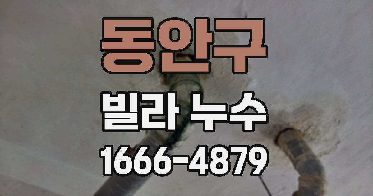 동안구 빌라 누수