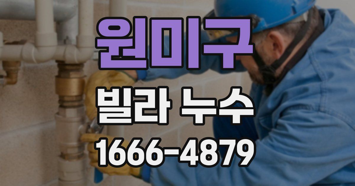 원미구 빌라 누수