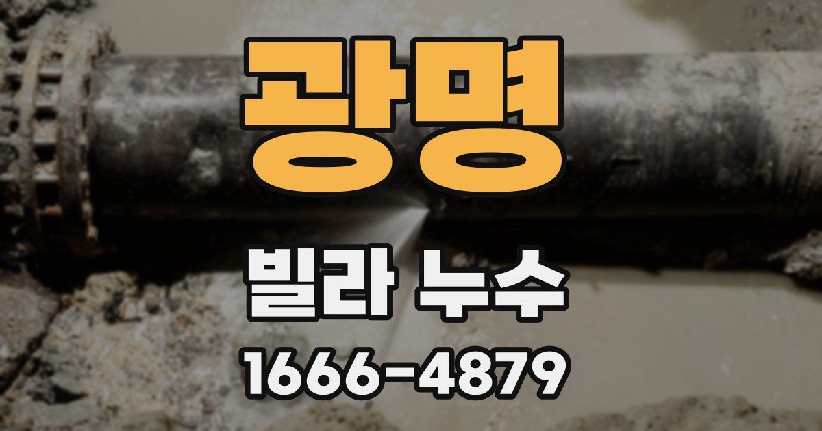 광명 빌라 누수