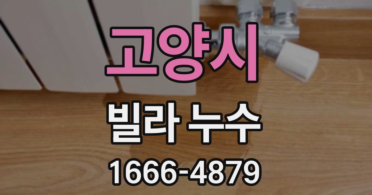 고양시 빌라 누수