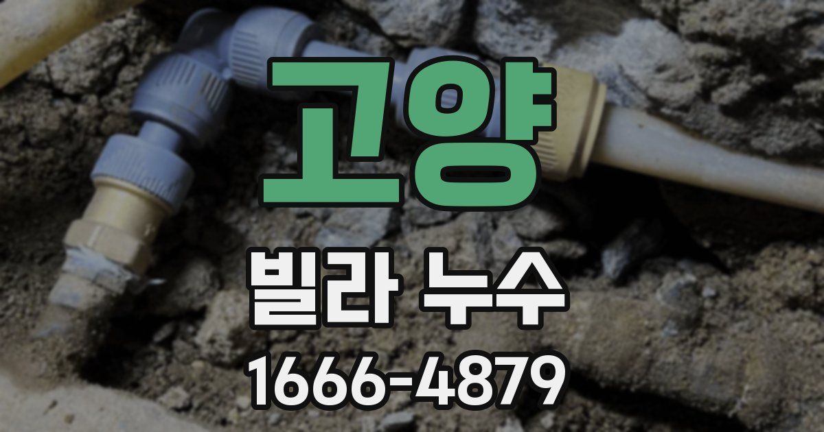 고양 빌라 누수