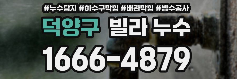 덕양구 빌라 누수