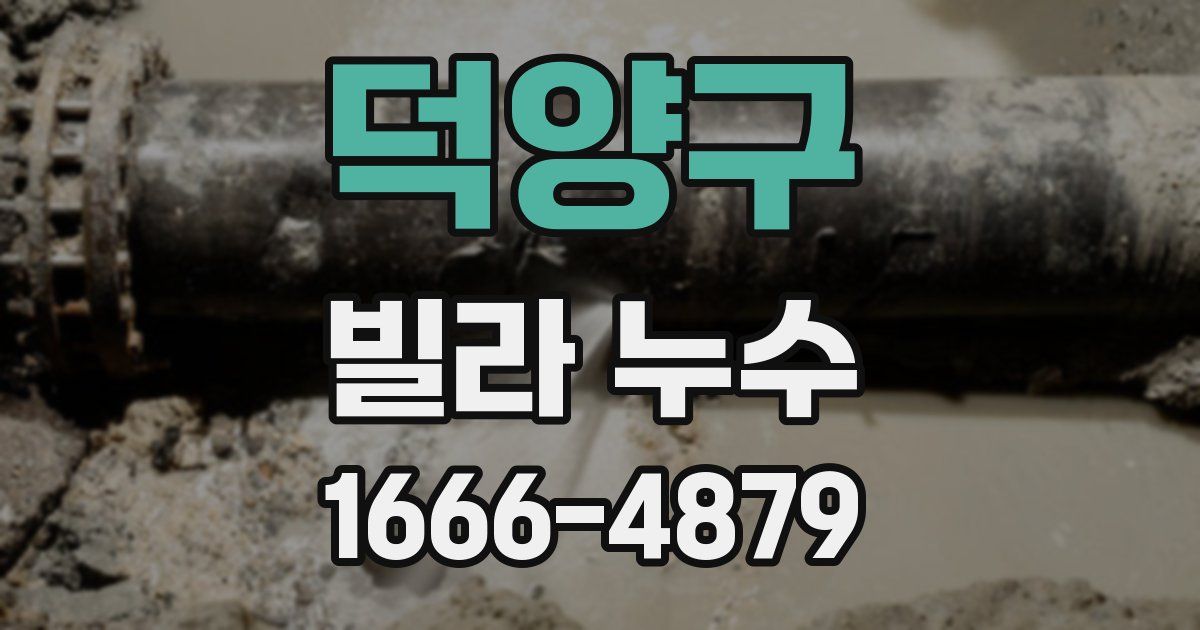 덕양구 빌라 누수