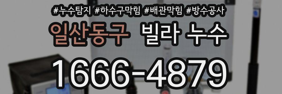 일산동구 빌라 누수