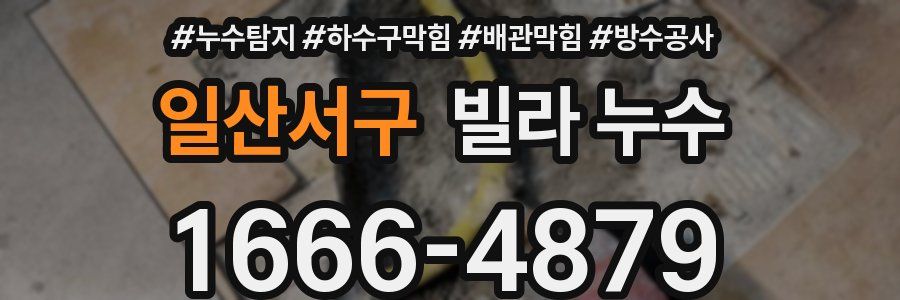 일산서구 빌라 누수
