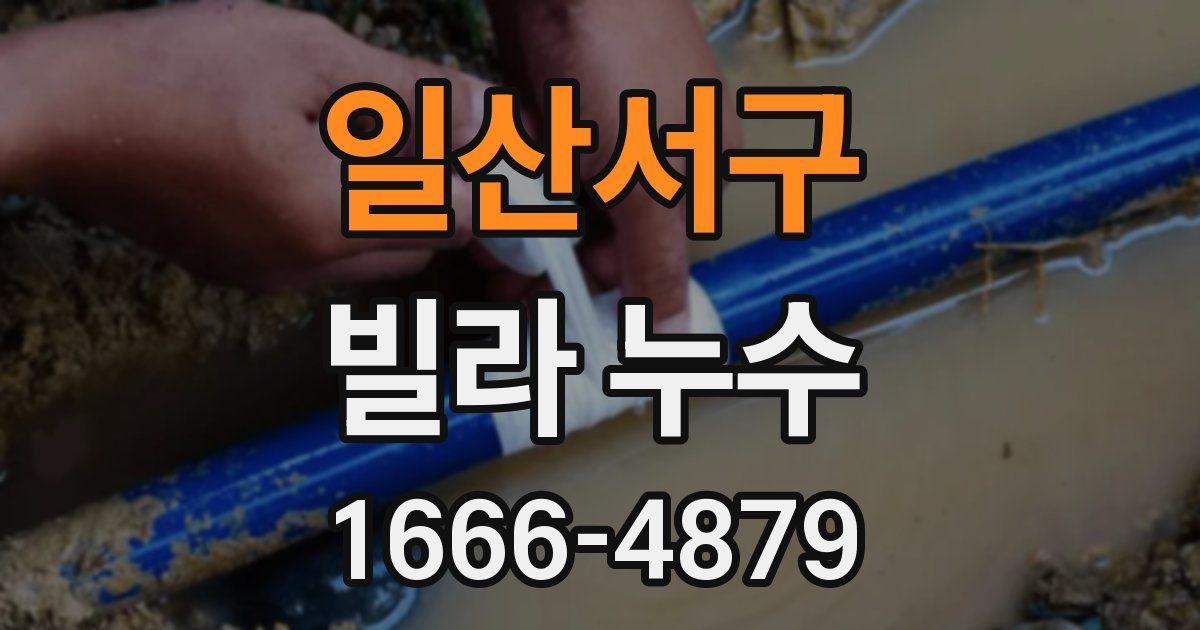 일산서구 빌라 누수