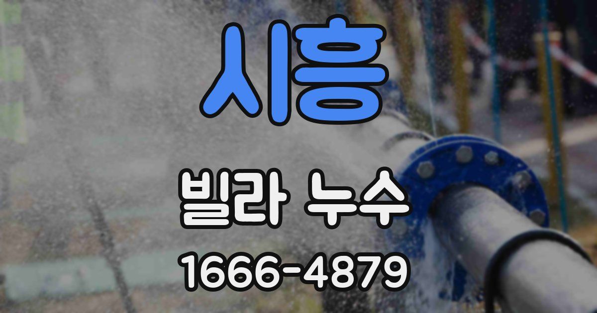 시흥 빌라 누수