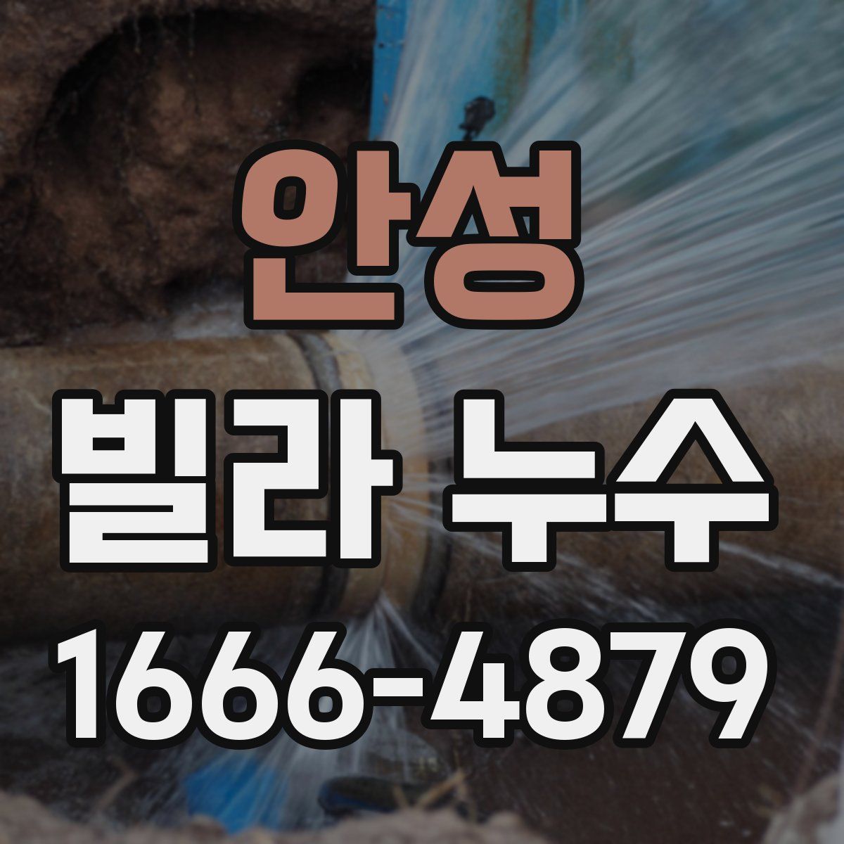 안성 빌라 누수