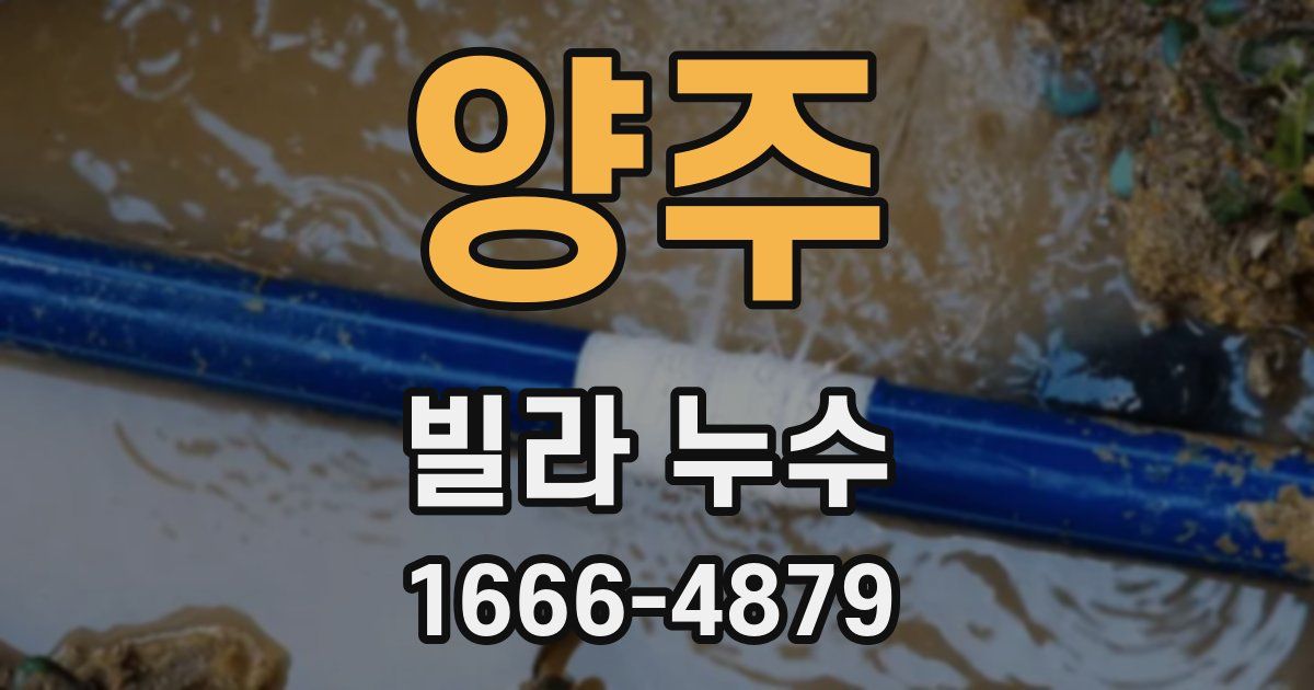 양주 빌라 누수