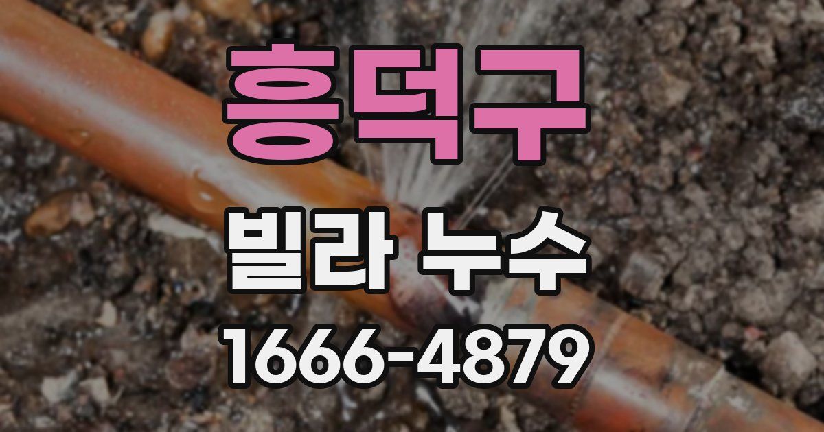 흥덕구 빌라 누수