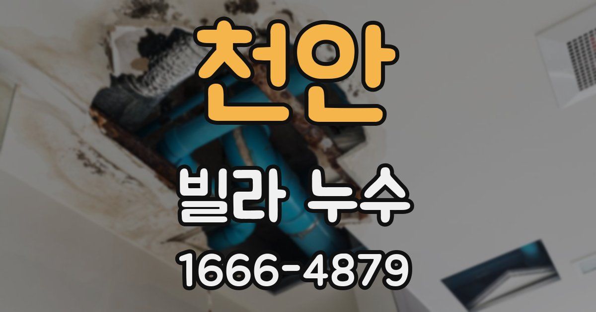 천안 빌라 누수