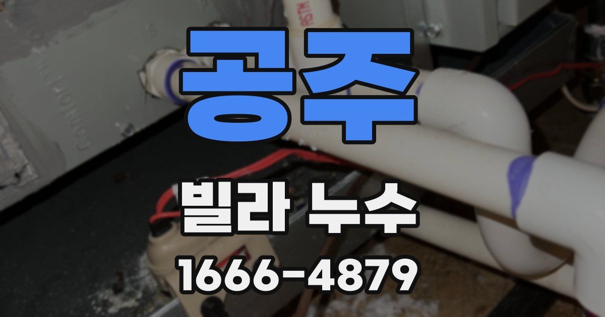 공주 빌라 누수