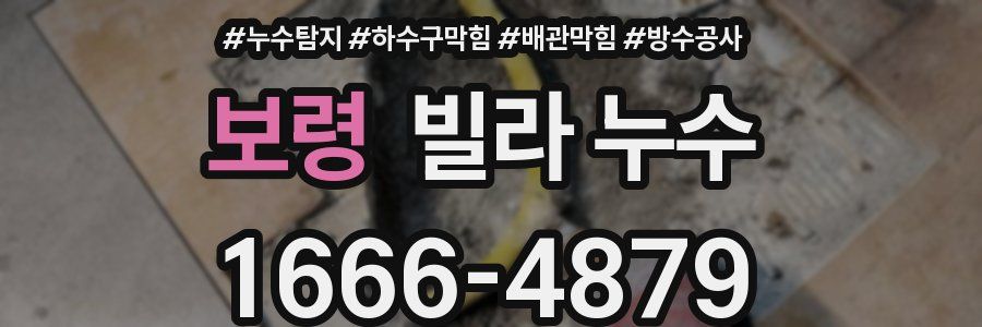 보령 빌라 누수
