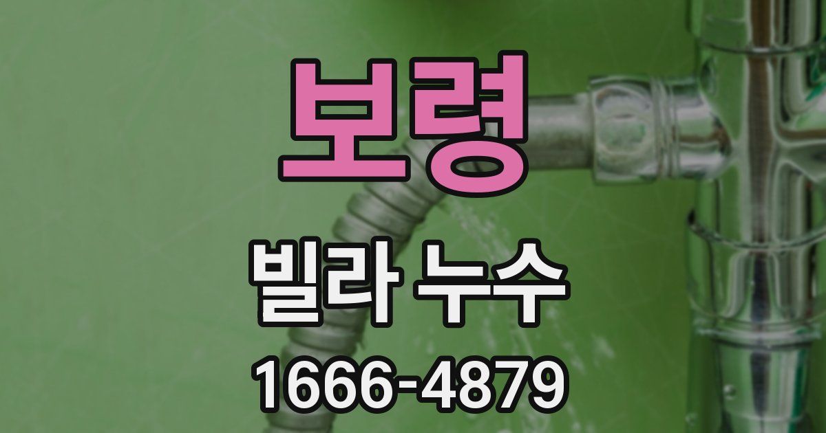 보령 빌라 누수