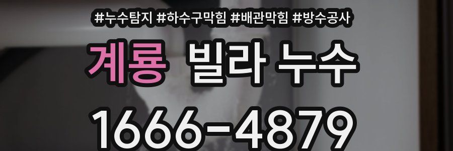계룡 빌라 누수