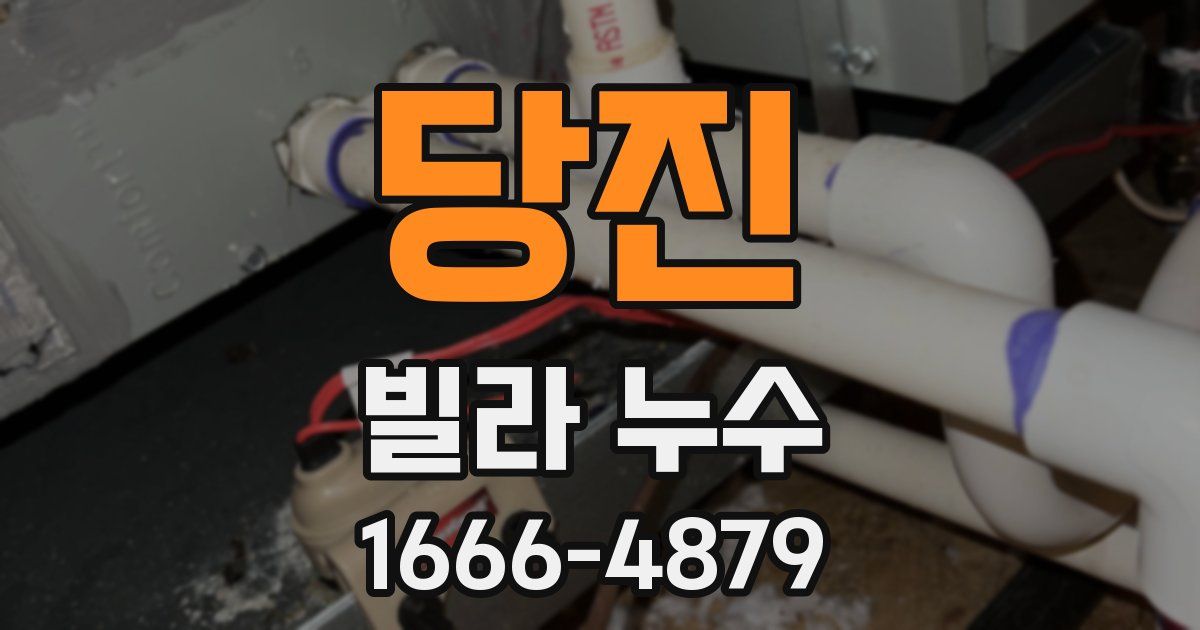 당진 빌라 누수
