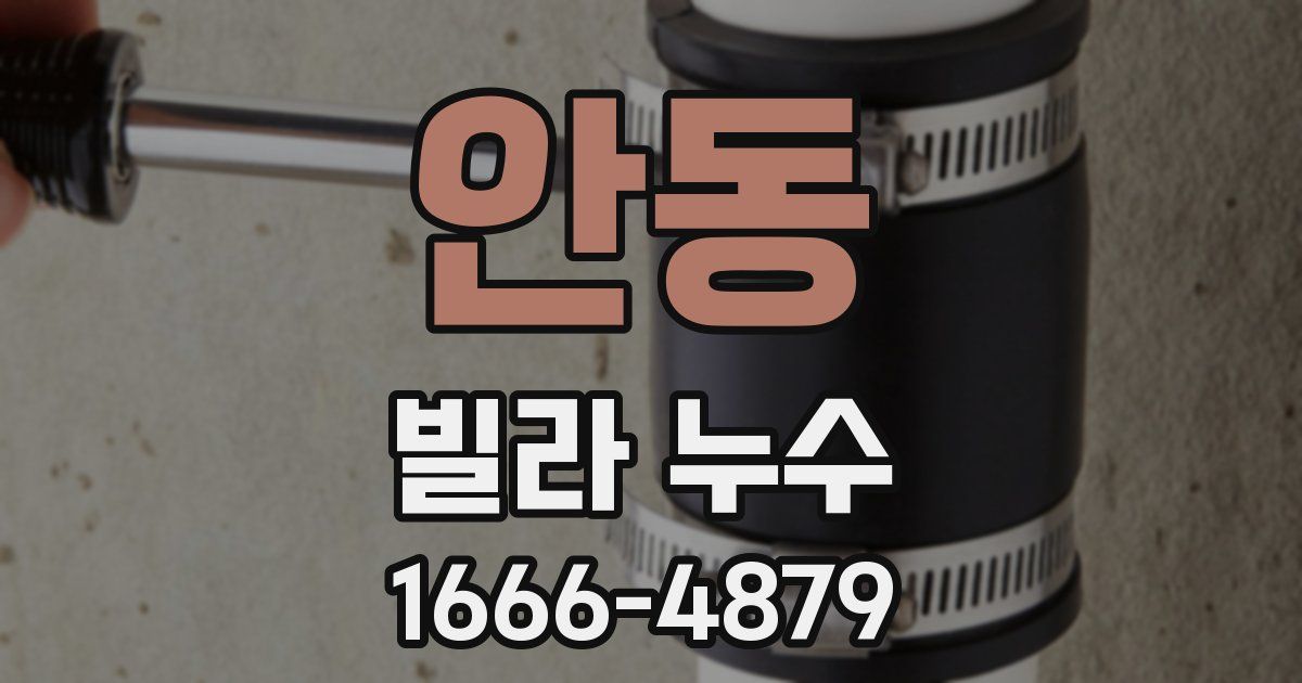 안동 빌라 누수