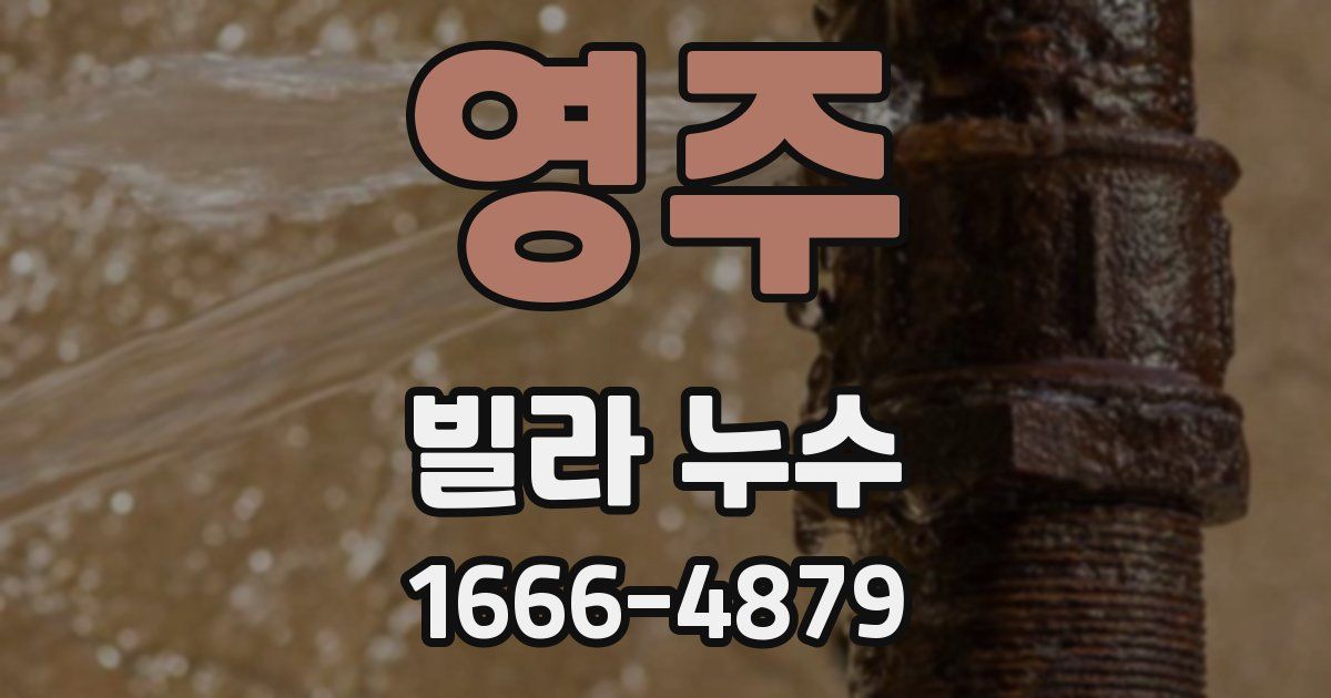영주 빌라 누수