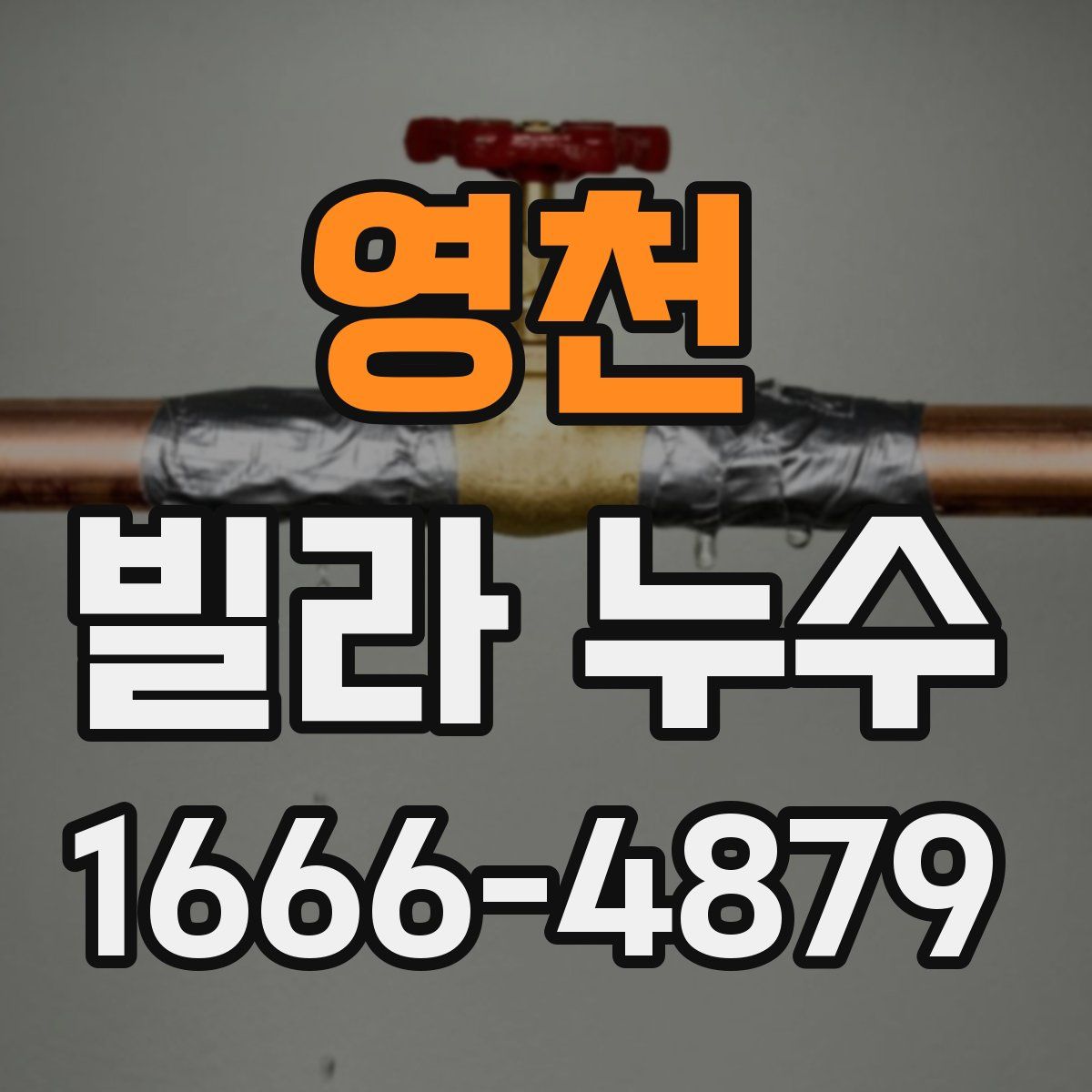 영천 빌라 누수