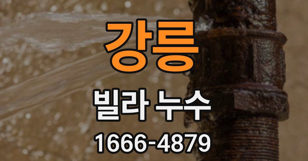 강릉 빌라 누수