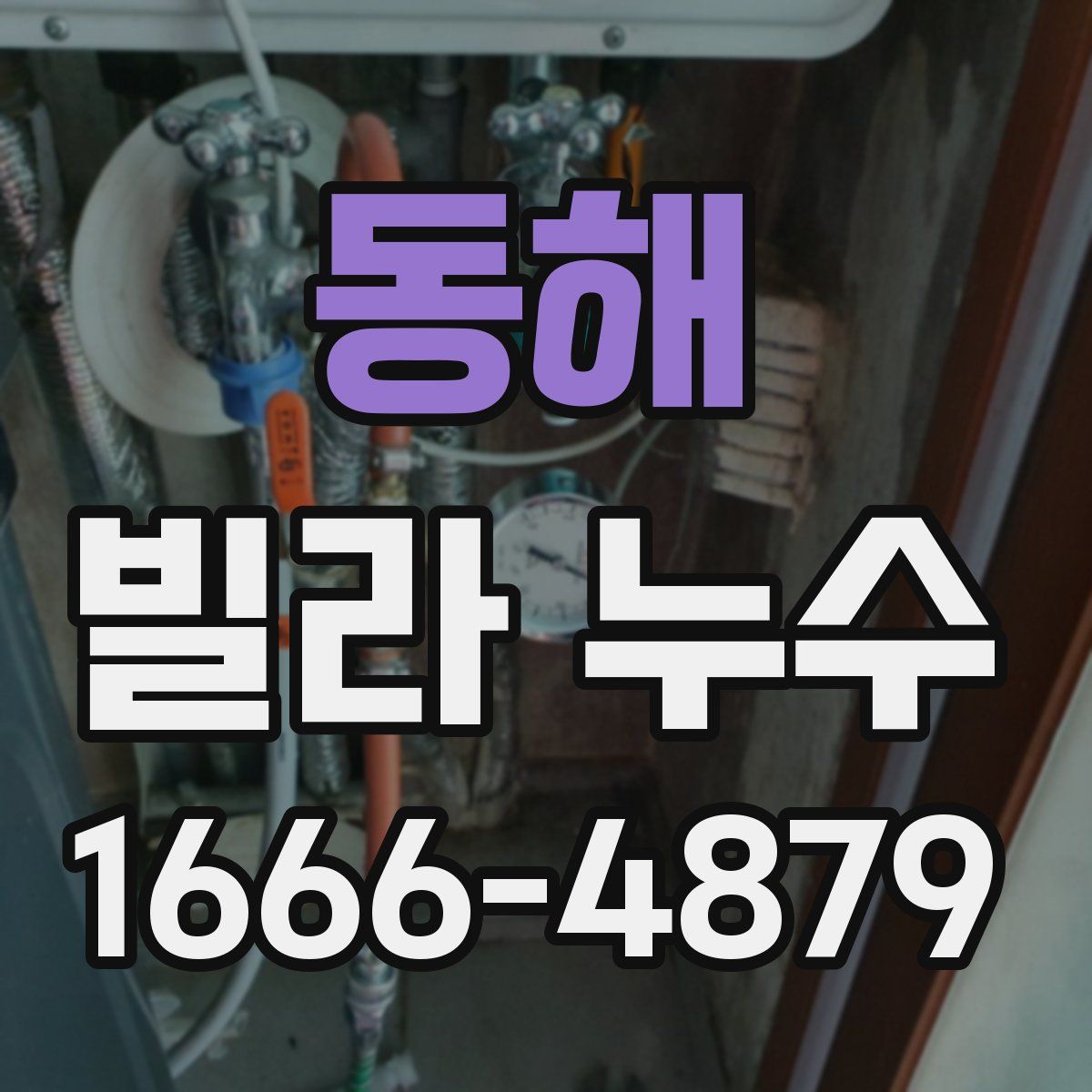 동해 빌라 누수