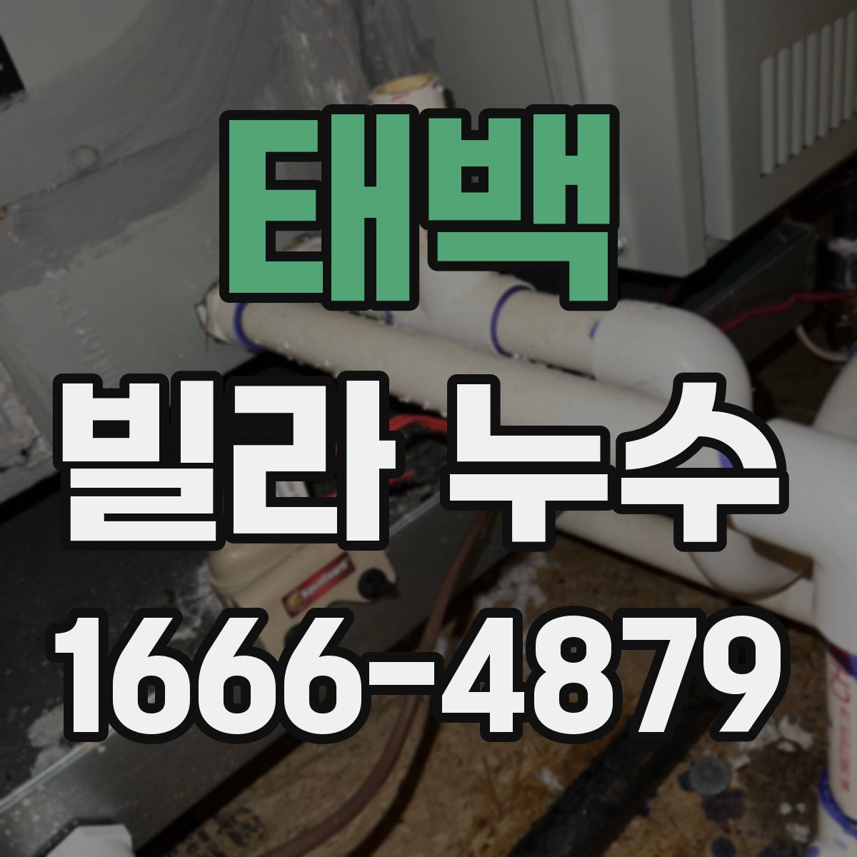 태백 빌라 누수