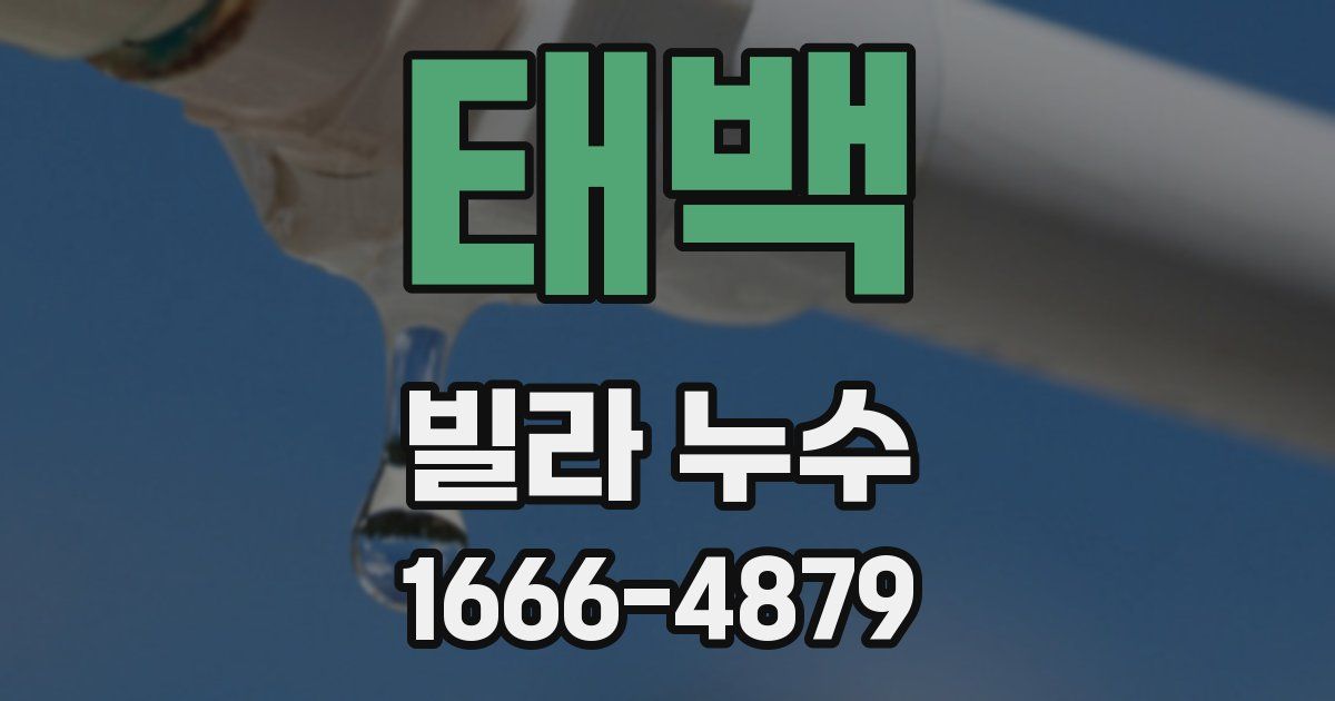 태백 빌라 누수