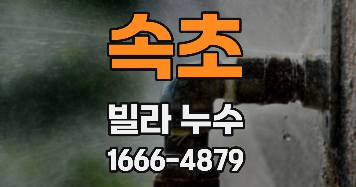 속초 빌라 누수