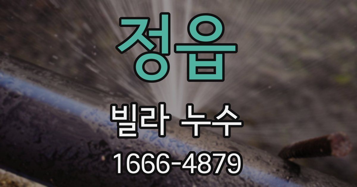 정읍 빌라 누수