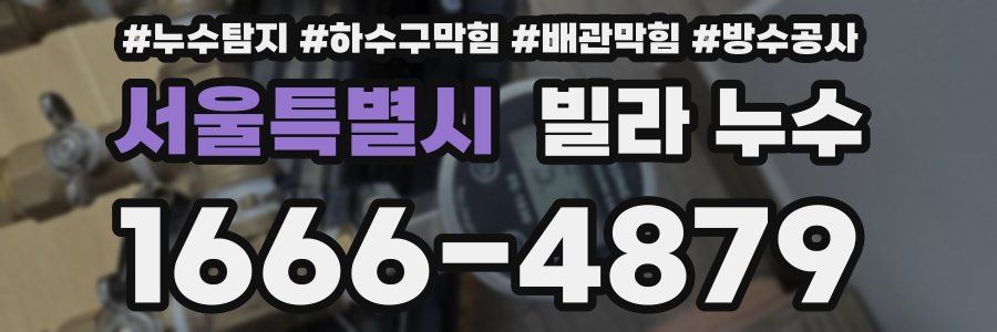 서울특별시 빌라 누수