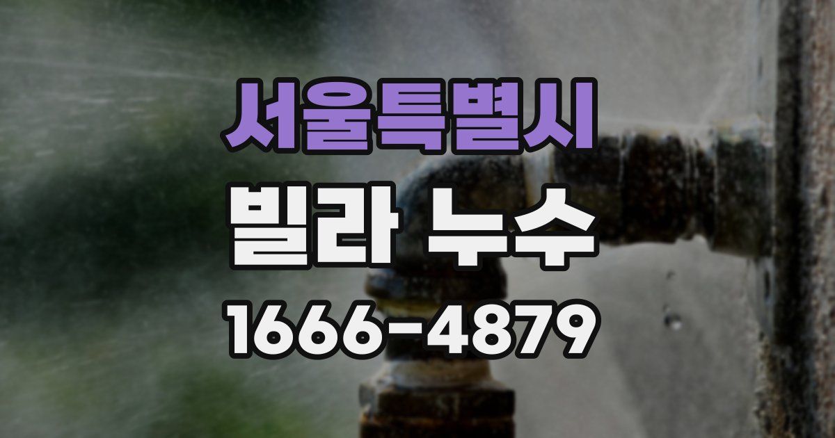 서울특별시 빌라 누수