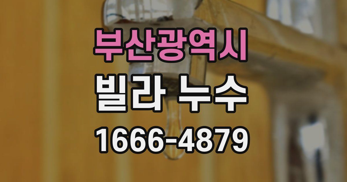 부산광역시 빌라 누수