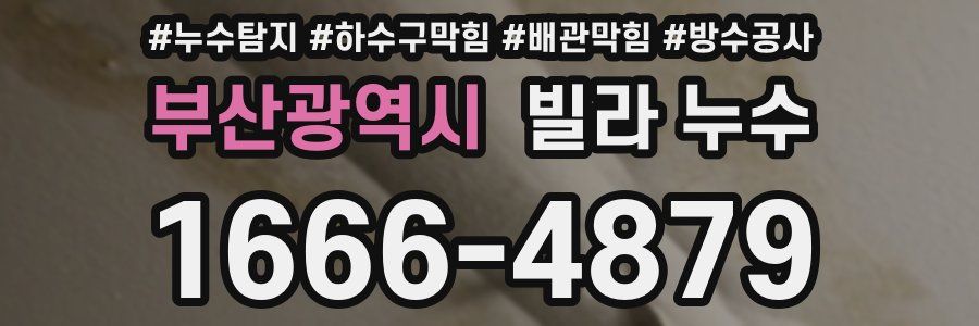 부산광역시 빌라 누수