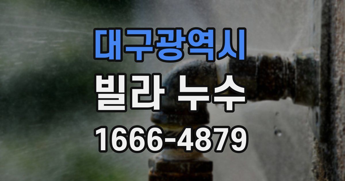 대구광역시 빌라 누수