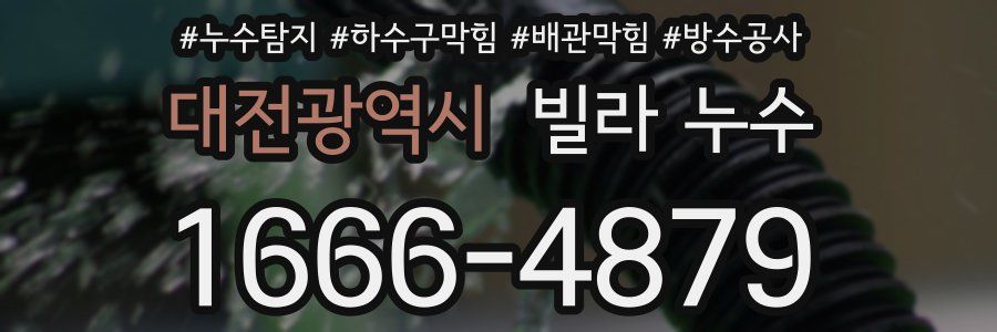 대전광역시 빌라 누수