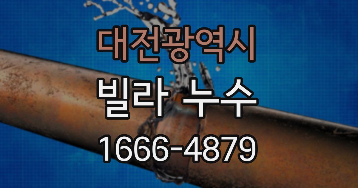 대전광역시 빌라 누수