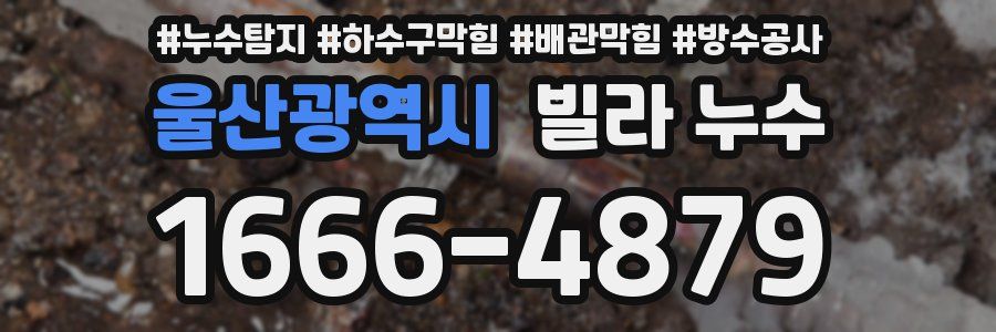 울산광역시 빌라 누수