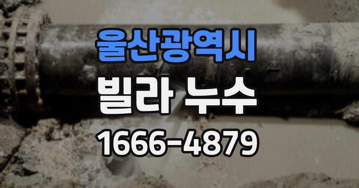 울산광역시 빌라 누수