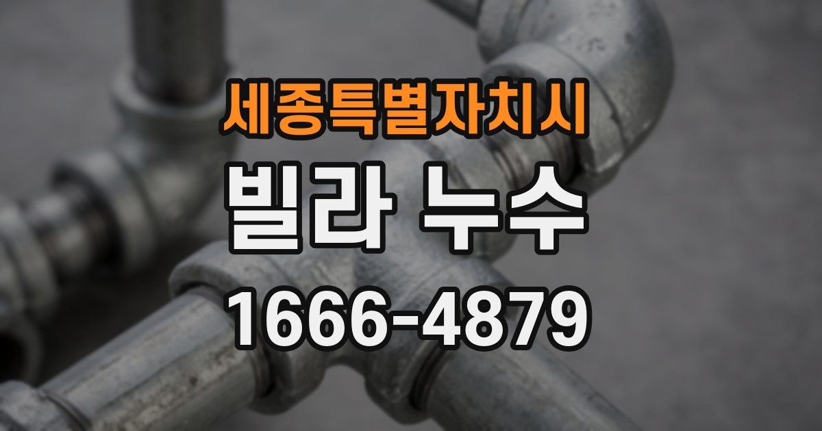 세종특별자치시 빌라 누수