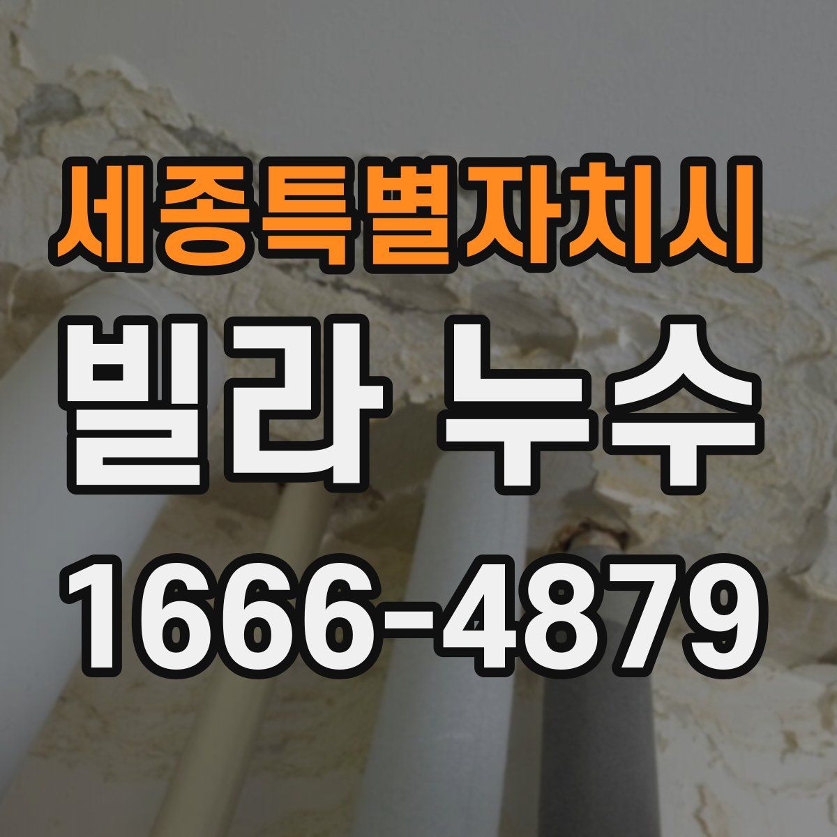 세종특별자치시 빌라 누수